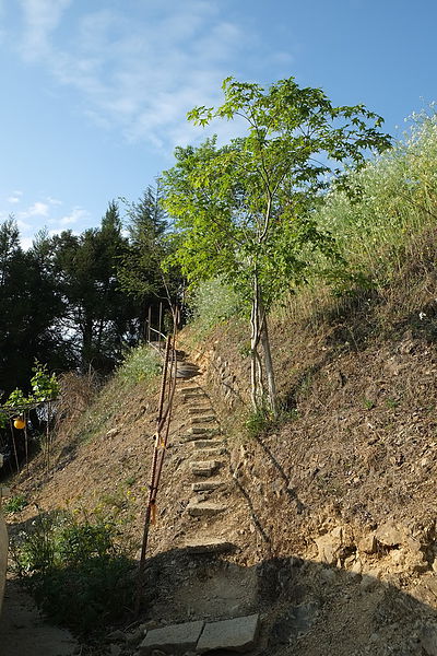 2013.03.24_[桃園復興]恩愛農場_咬一口就上癮的蜜蘋果-39