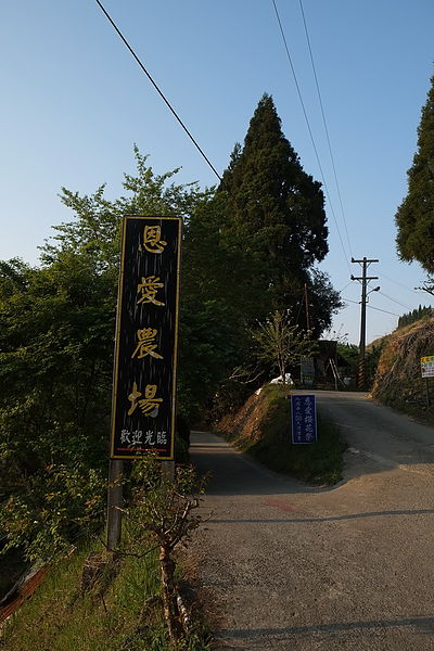 2013.03.24_[桃園復興]恩愛農場_咬一口就上癮的蜜蘋果-49