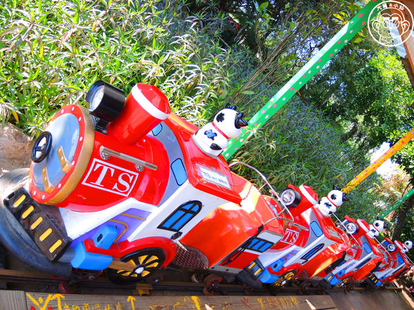 羊世界生態教學牧場:作伙來企投【桃園中壢・羊世界】迷你版的羊牧場