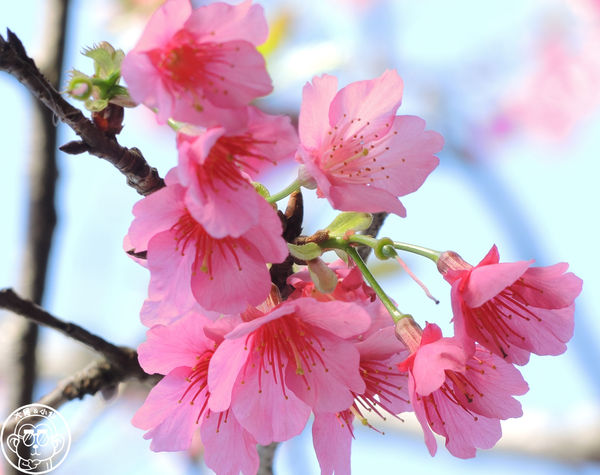 羊世界生態教學牧場:作伙來企投【桃園中壢・羊世界】迷你版的羊牧場