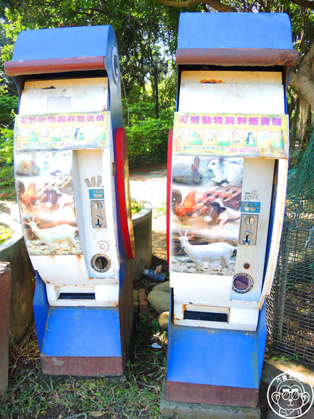 羊世界生態教學牧場:作伙來企投【桃園中壢・羊世界】迷你版的羊牧場