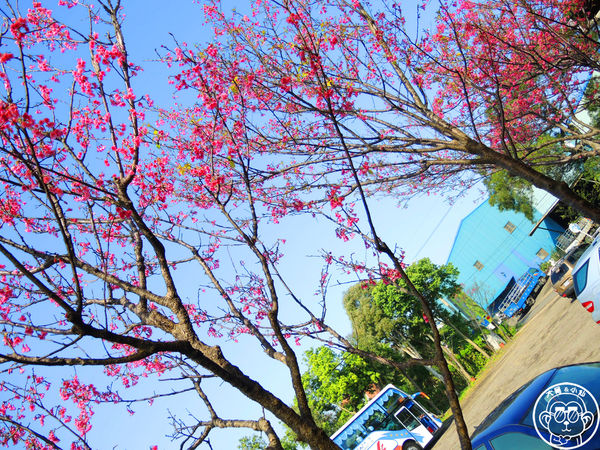 羊世界生態教學牧場:作伙來企投【桃園中壢・羊世界】迷你版的羊牧場