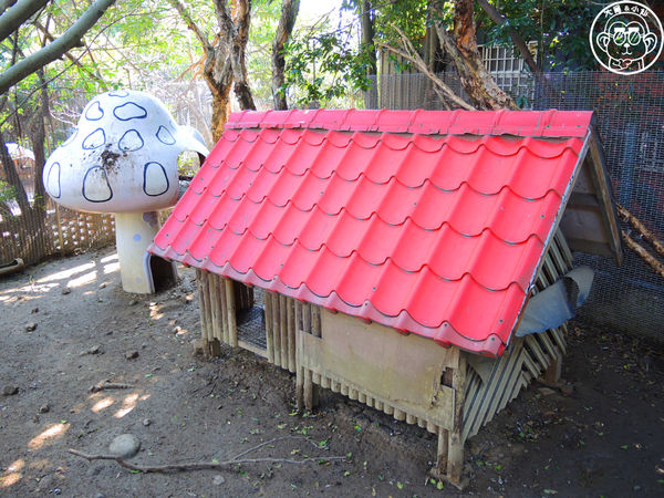 羊世界生態教學牧場:作伙來企投【桃園中壢・羊世界】迷你版的羊牧場