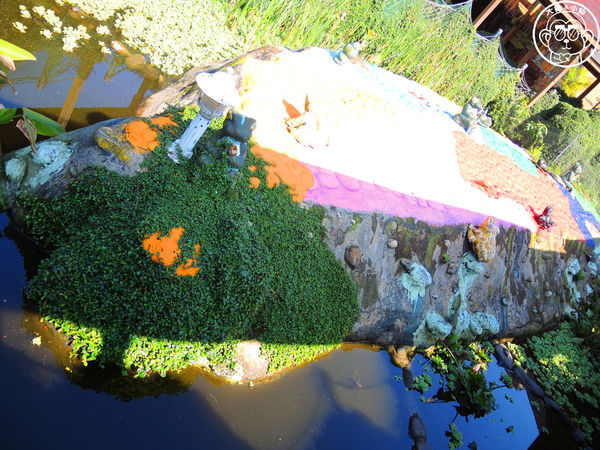 羊世界生態教學牧場:作伙來企投【桃園中壢・羊世界】迷你版的羊牧場