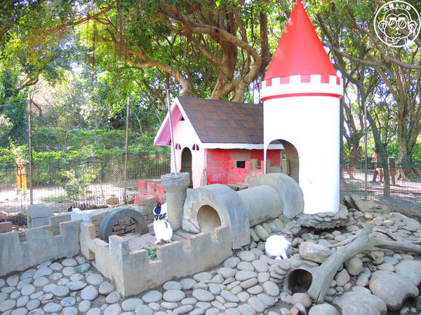 羊世界生態教學牧場:作伙來企投【桃園中壢・羊世界】迷你版的羊牧場