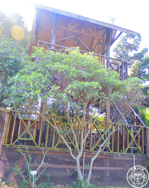 羊世界生態教學牧場:作伙來企投【桃園中壢・羊世界】迷你版的羊牧場