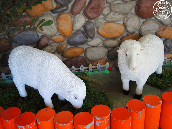 羊世界生態教學牧場:作伙來企投【桃園中壢・羊世界】迷你版的羊牧場