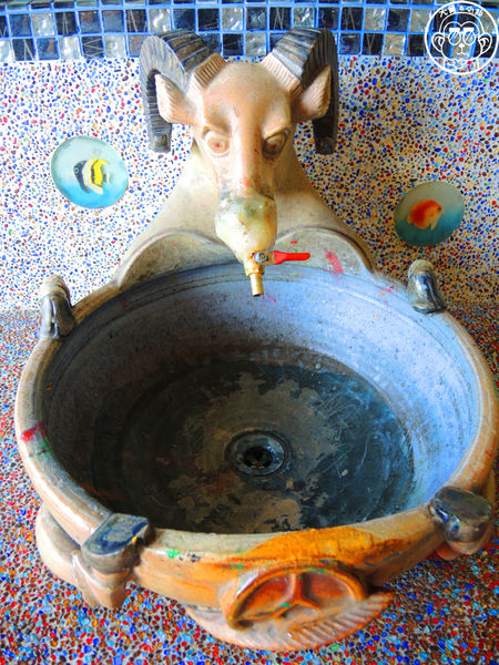 羊世界生態教學牧場:作伙來企投【桃園中壢・羊世界】迷你版的羊牧場