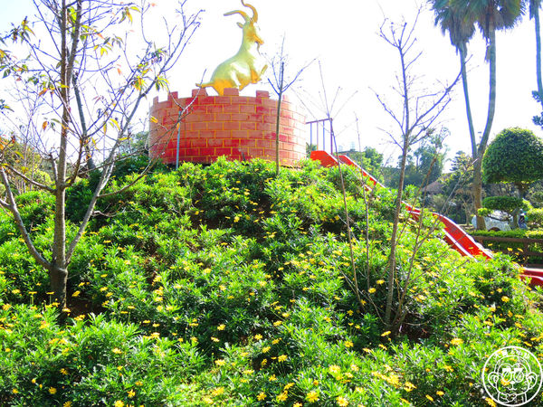 羊世界生態教學牧場:作伙來企投【桃園中壢・羊世界】迷你版的羊牧場