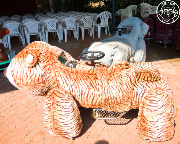 羊世界生態教學牧場:作伙來企投【桃園中壢・羊世界】迷你版的羊牧場