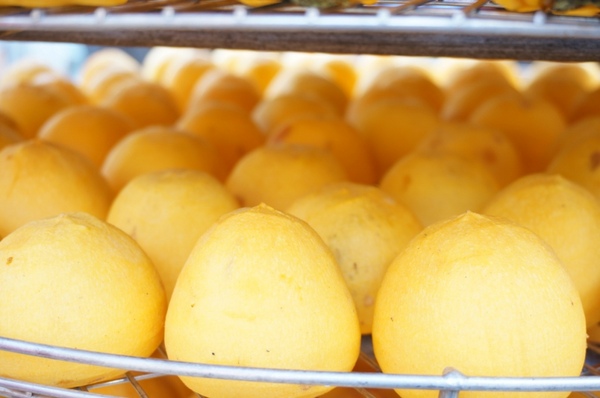 味衛佳柿餅工廠：充滿活力的黃澄澄柿餅觀光農場【新埔/味衛佳柿餅觀光農場】