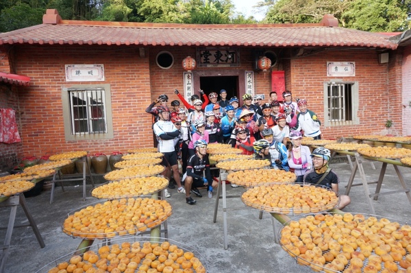 味衛佳柿餅工廠：充滿活力的黃澄澄柿餅觀光農場【新埔/味衛佳柿餅觀光農場】