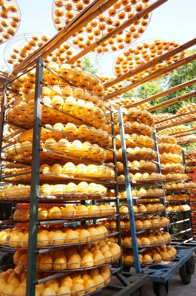 味衛佳柿餅工廠：充滿活力的黃澄澄柿餅觀光農場【新埔/味衛佳柿餅觀光農場】