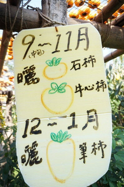 味衛佳柿餅工廠：充滿活力的黃澄澄柿餅觀光農場【新埔/味衛佳柿餅觀光農場】