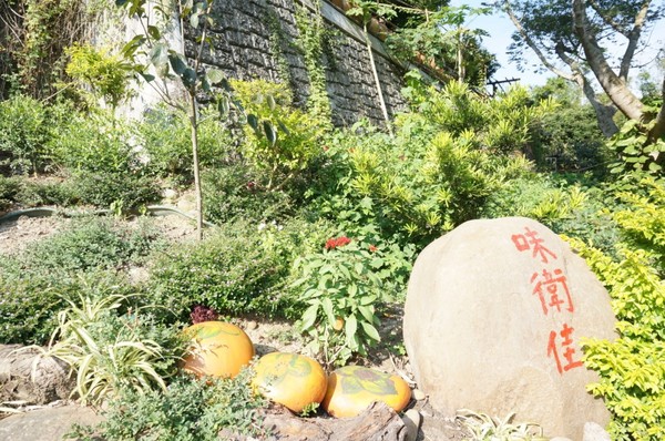 味衛佳柿餅工廠：充滿活力的黃澄澄柿餅觀光農場【新埔/味衛佳柿餅觀光農場】