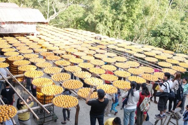 味衛佳柿餅工廠：充滿活力的黃澄澄柿餅觀光農場【新埔/味衛佳柿餅觀光農場】