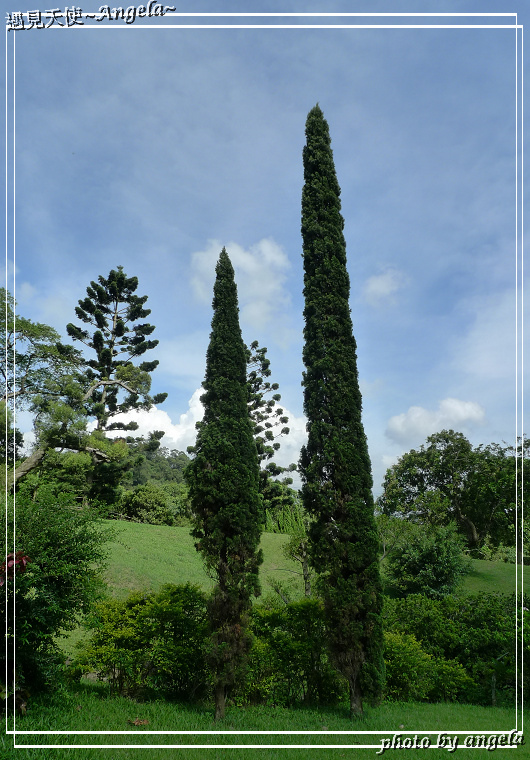 The one 南園人文休閒客棧：▪ 不用飛出國台灣就有江南庭園的景致