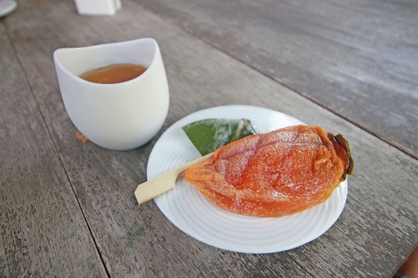 【新竹旅遊】新竹節氣小旅行-南園人文客棧&金漢沛餅DIY一日遊