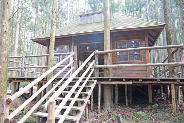 【新竹旅遊】馬武督探索森林-綠光森林小學