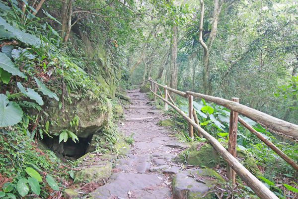 【新竹旅遊】馬武督探索森林-綠光森林小學