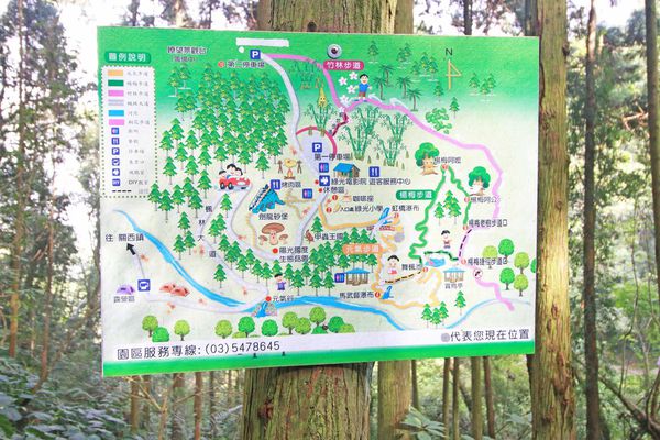 【新竹旅遊】馬武督探索森林-綠光森林小學