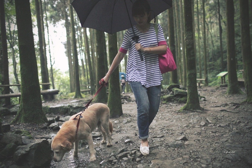 小狗的綠光小學野放日記