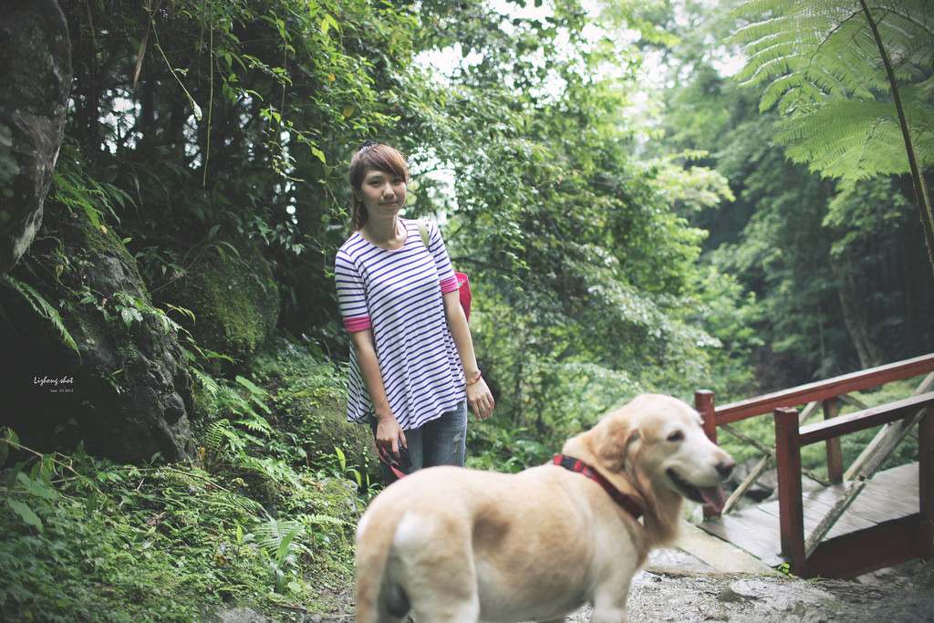 小狗的綠光小學野放日記