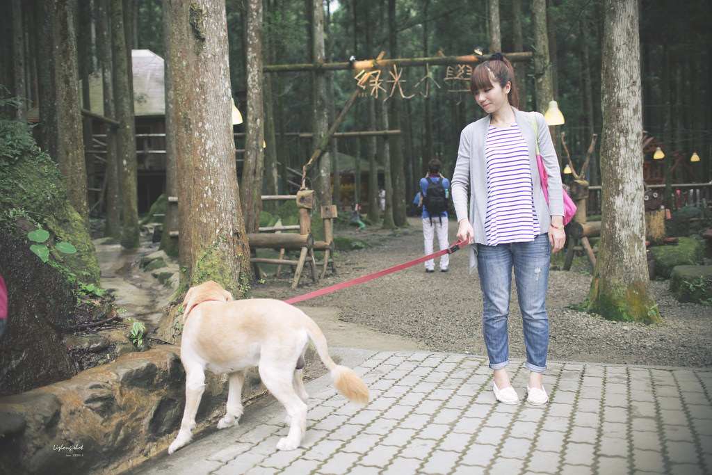 小狗的綠光小學野放日記