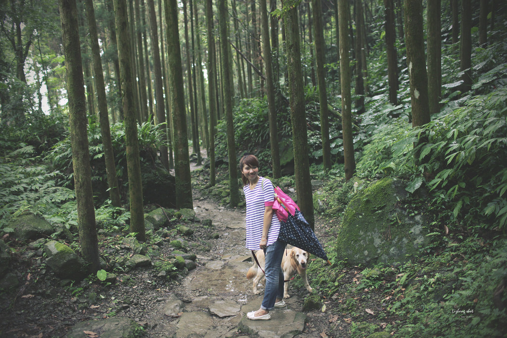 小狗的綠光小學野放日記