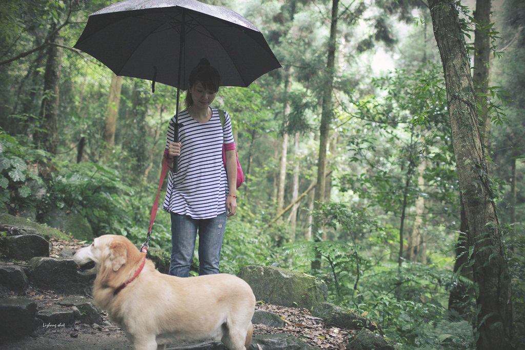 小狗的綠光小學野放日記