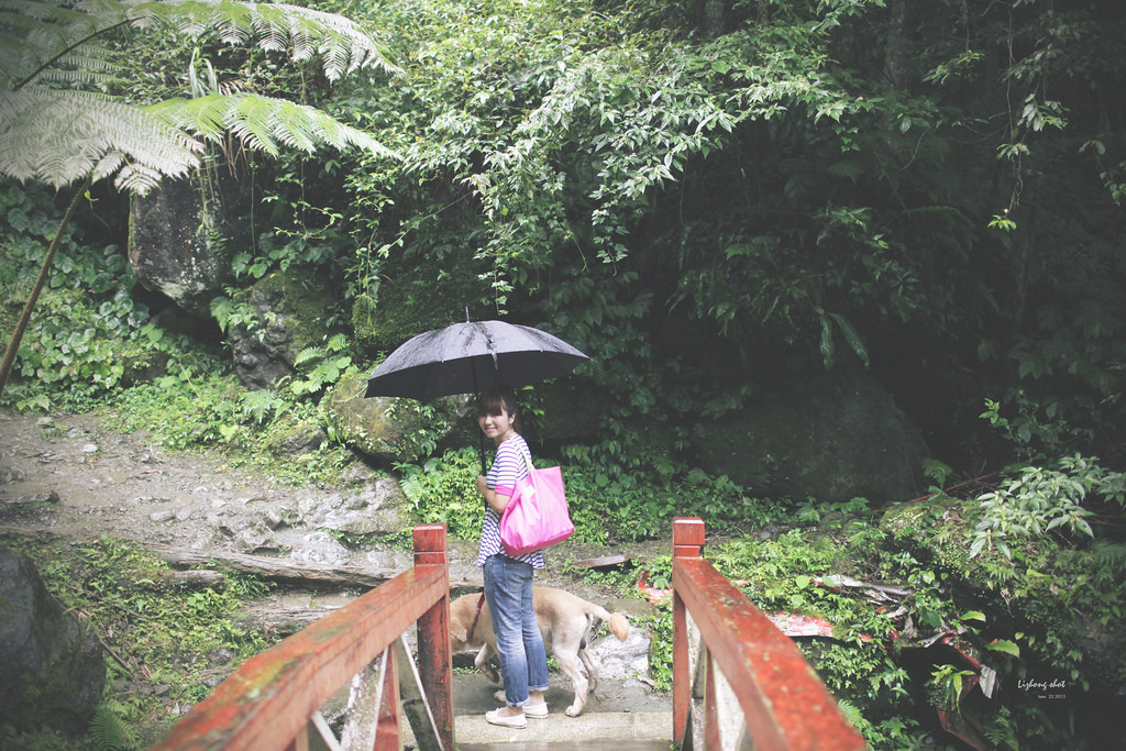 小狗的綠光小學野放日記