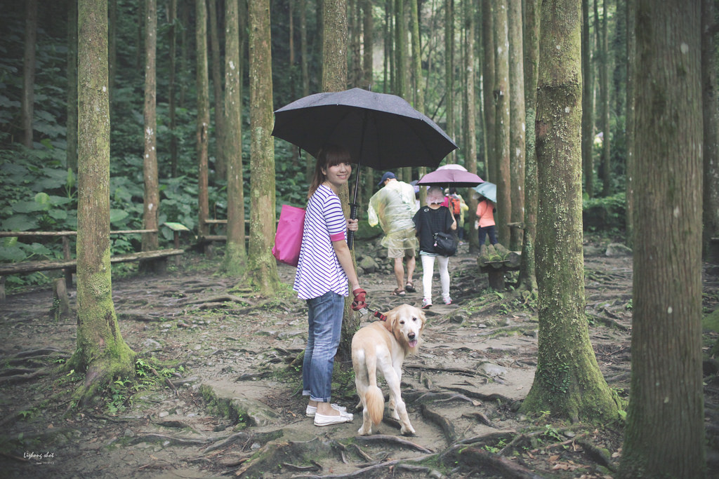 小狗的綠光小學野放日記