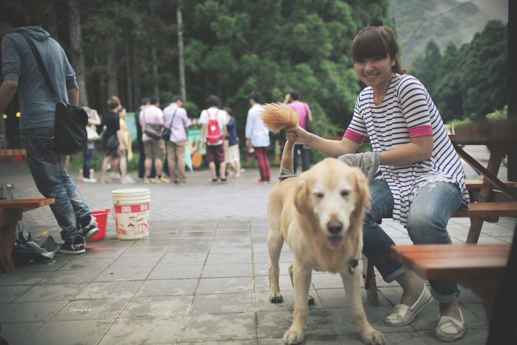 小狗的綠光小學野放日記