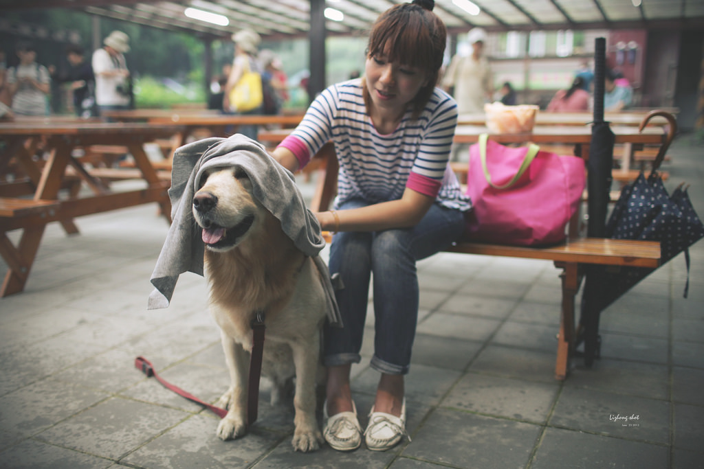 小狗的綠光小學野放日記