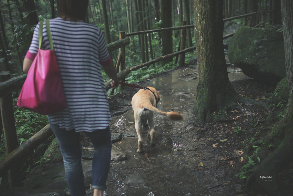 小狗的綠光小學野放日記