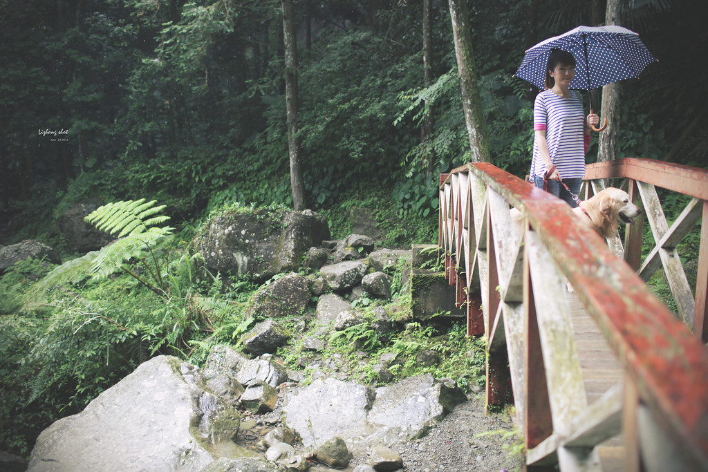 小狗的綠光小學野放日記