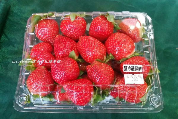 ﹝關西﹞金勇DIY番茄農場