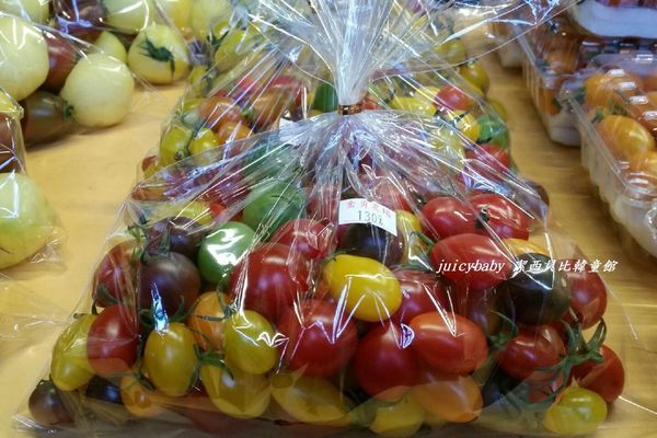 ﹝關西﹞金勇DIY番茄農場