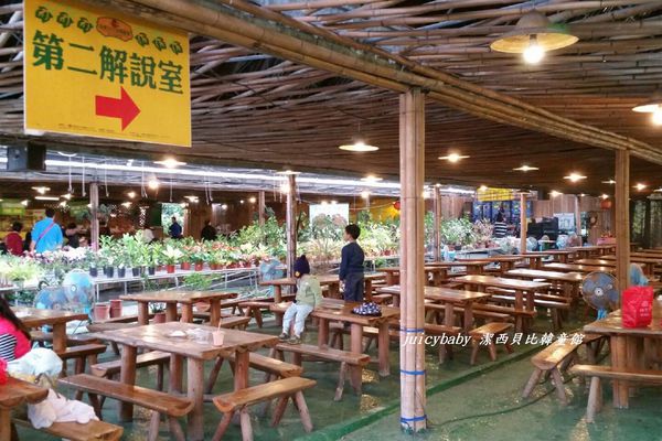 ﹝關西﹞金勇DIY番茄農場