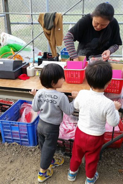 ﹝關西﹞金勇DIY番茄農場