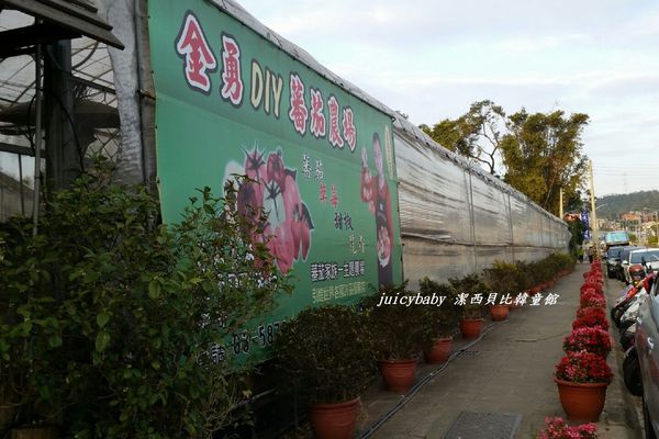 ﹝關西﹞金勇DIY番茄農場