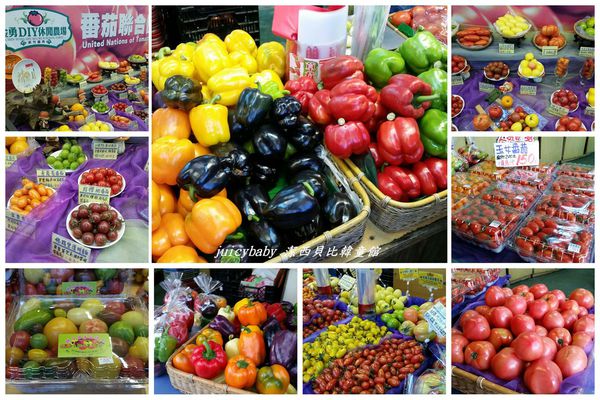 ﹝關西﹞金勇DIY番茄農場