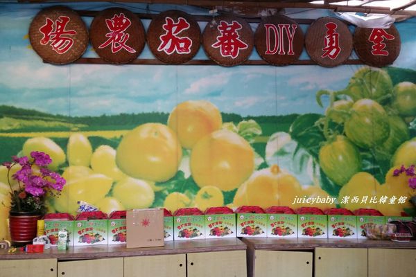 ﹝關西﹞金勇DIY番茄農場