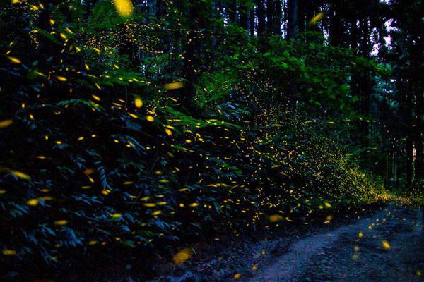 972320_642174442466319_61104167_n