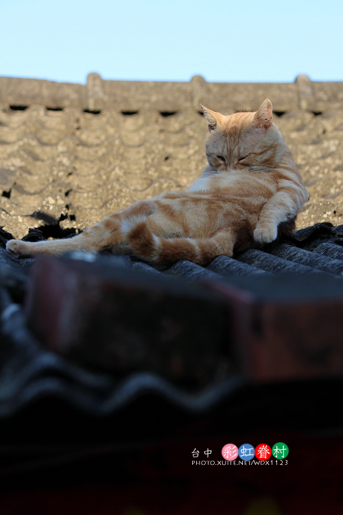 台中彩虹眷村:電影『總舖師』華山引道壁畫~讓我想到✪彩虹眷村~102.08.26