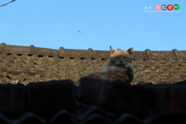 台中彩虹眷村:電影『總舖師』華山引道壁畫~讓我想到✪彩虹眷村~102.08.26