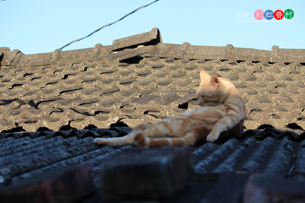 台中彩虹眷村:電影『總舖師』華山引道壁畫~讓我想到✪彩虹眷村~102.08.26