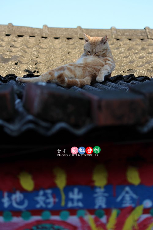 台中彩虹眷村:電影『總舖師』華山引道壁畫~讓我想到✪彩虹眷村~102.08.26