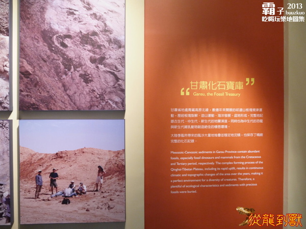 台中國立自然科學博物館：科博館有大批恐龍出沒拉 ～「從龍到獸大滅絕與大演化」特展