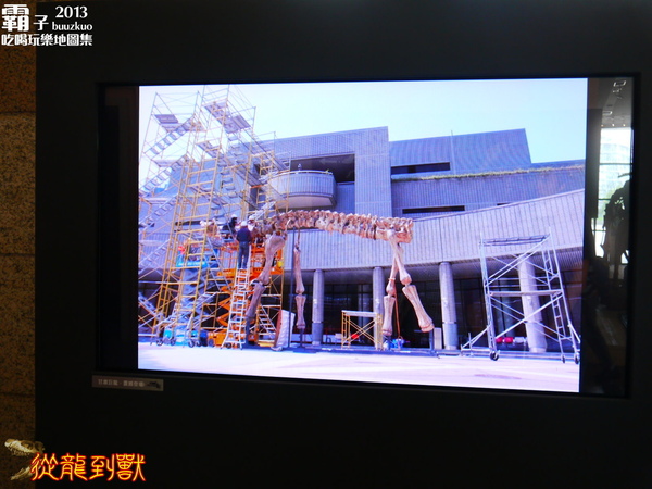 台中國立自然科學博物館：科博館有大批恐龍出沒拉 ～「從龍到獸大滅絕與大演化」特展